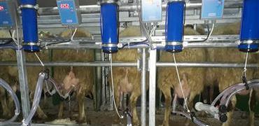 Karacalar Tarım - Süt İşletmesi <br>(Küçükbaş - 2X24 HÇP Serçe sağım sistemi)<br/>